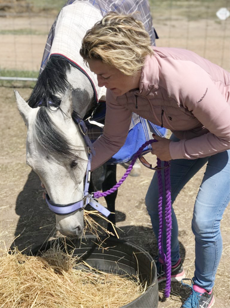 Vejledning I Fodring – TheVET V/Louise Laustsen