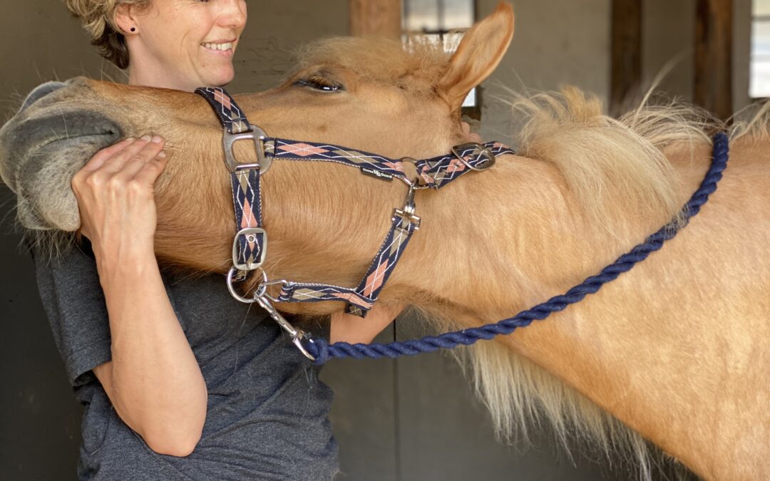 Uddannelse ved London College of Veterinary Osteopathy